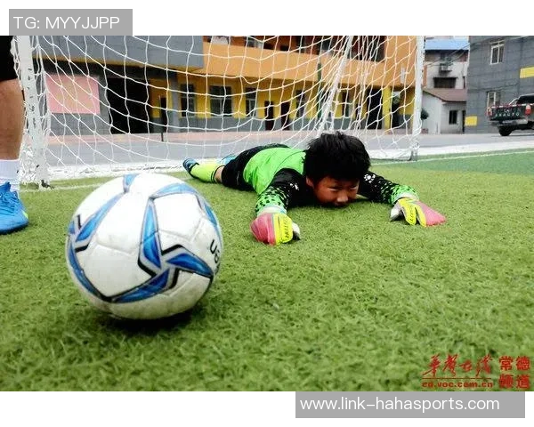 足球的立意探讨：团结拼搏与梦想追求的完美结合